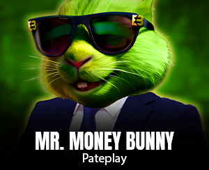 Mr. Money Bunny