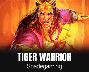 Tiger Warrior slot