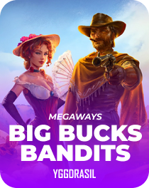 Mystake app interface