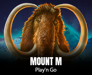 Mount M slot