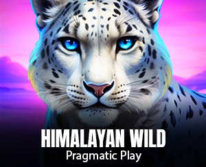 Himalayan Wild slot