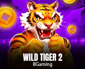 Wild Tiger 2 slot