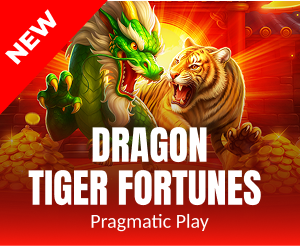 Dragon Tiger Fortunes slot