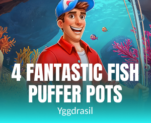 4 Fantastic Fish Puffer Pots
