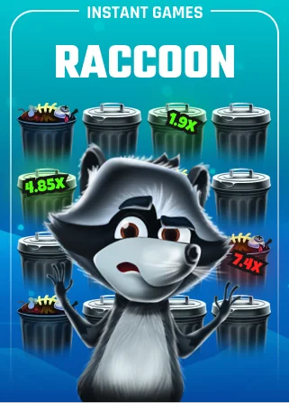 Raccoon