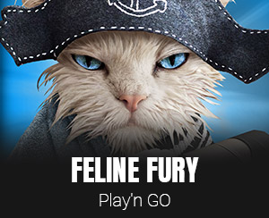 Feline Fury slot