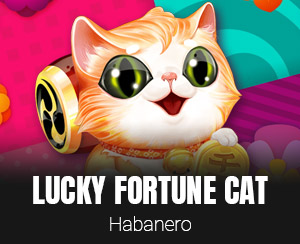 Lucky Fortune Cat