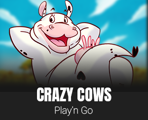 Crazy Cows slot