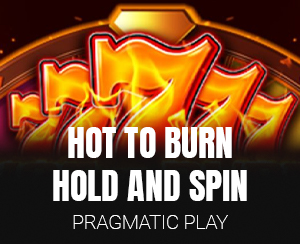 Hot to Burn® Hold and Spin slot