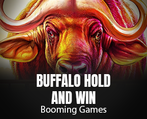 Buffalo Hold and Win slot