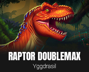 Raptor DoubleMax™ slot
