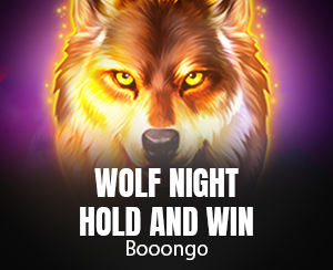 Wolf Night : Hold and Win