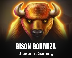 Bison Bonanza