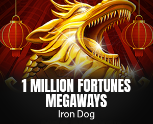 1 Million Fortunes Megaways slot