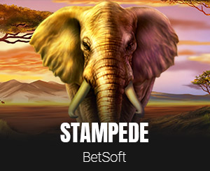 Stampede slot