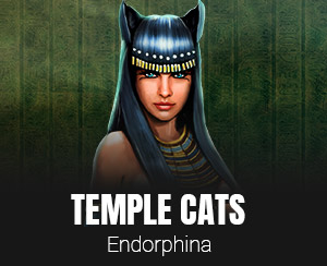 Temple Cats slot