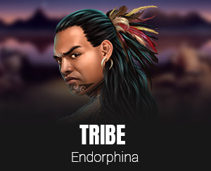 Tribe Slot slot