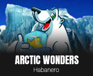 Arctic Wonders slot