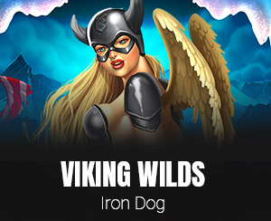 Viking Wilds slot