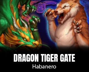 Dragon Tiger Gate slot