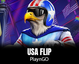 USA Flip slot