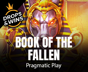 Book of Fallen slot