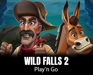 Wild Falls 2 slot