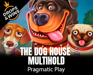 The Dog House Multihold slot