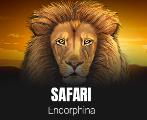Safari slot