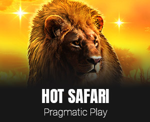 Hot Safari