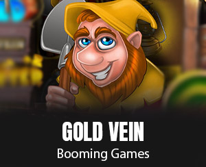 Gold Vein slot