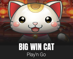 Big Win Cat slot