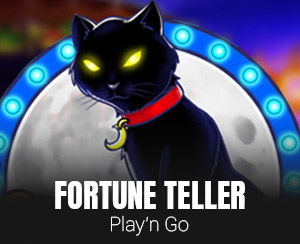 Fortune Teller slot