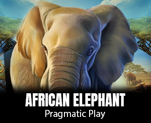 African Elephant slot
