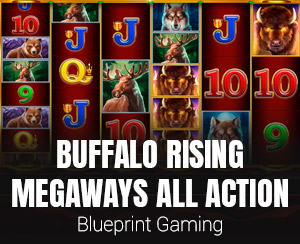 Buffalo Rising Megaways All Action